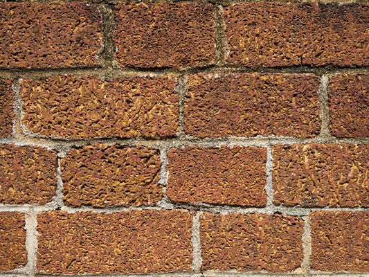 Buy Coco Coir Bricks in Canada – Bloom Coir