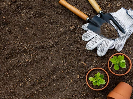 Coir Supply Online in Canada – Buy Coir from BloomCoir