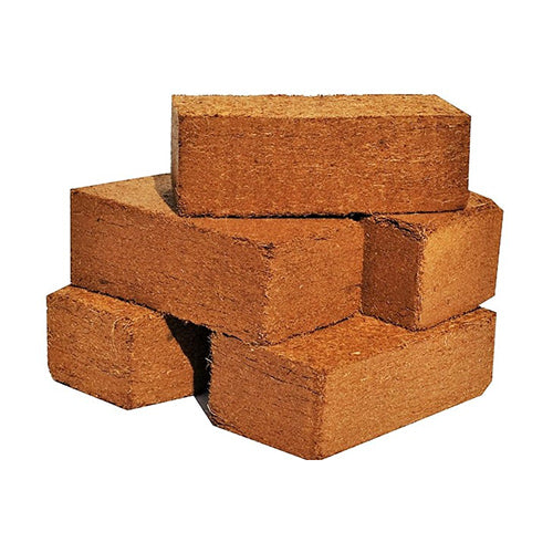 650Gram Coco Peat Bricks - Sustainable Gardening Solution | BloomCoir