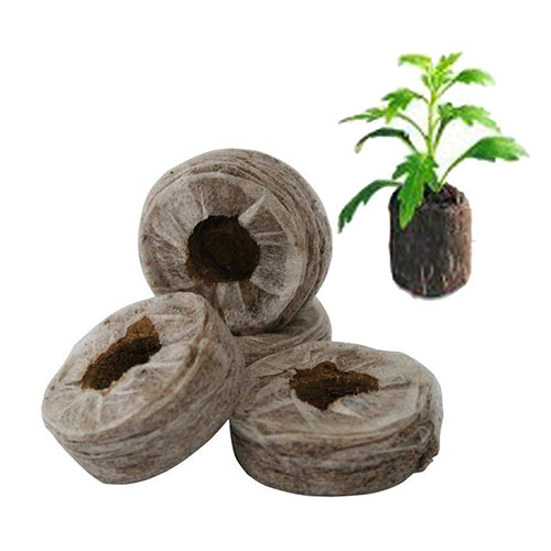 Seed Starter Pellets - Eco-Friendly Germination Solution | BloomCoir