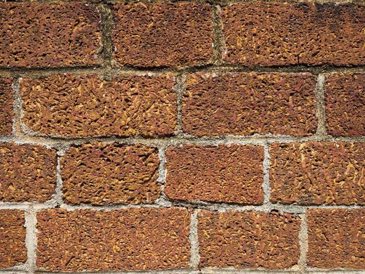 Buy Coco Coir Bricks in Canada – Bloom Coir