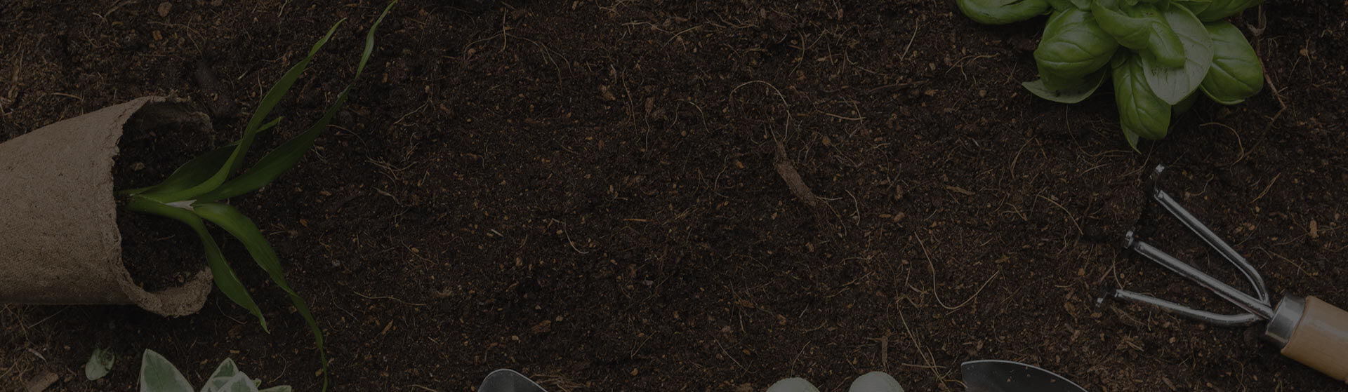Bloom Coir - Coco Peat & Gardening Solutions for Green Growth